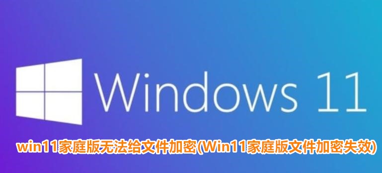 win11家庭版无法给文件加密(Win11家庭版文件加密失效) 第1张