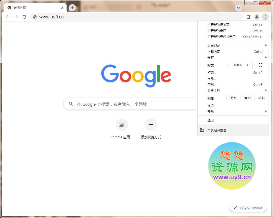 Google Chrome(谷歌浏览器)v137.0.7151.69绿色增强版 第1张