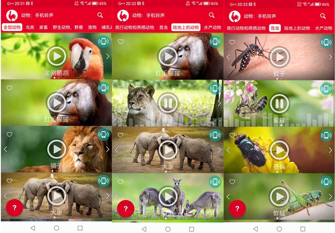 安卓动物手机铃声v17.5去广告高级版/享受大自然的声音 第1张