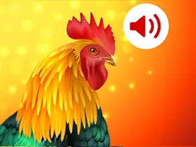 安卓动物手机铃声v20.0去广告高级版/享受大自然的声音