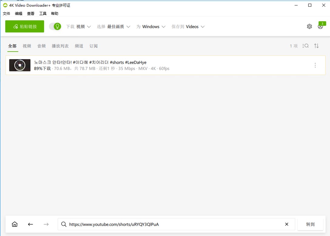 4K Video Downloader+ v25.1.2.0198免激活中文绿色破解版 第3张