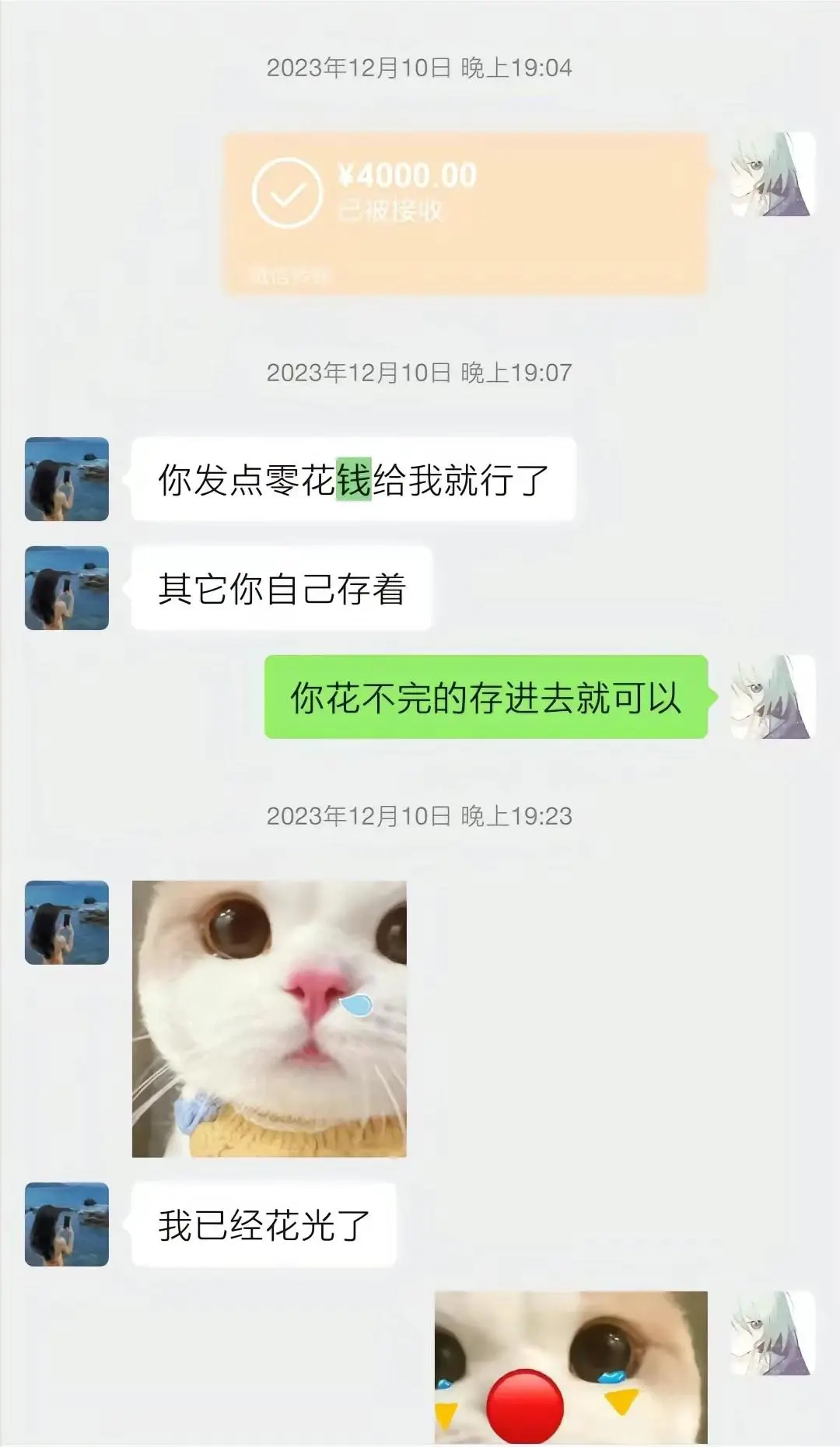 胖猫事情来龙去脉曝光！沉沦爱情陷阱，聊天记录看了让人心寒愤怒 第4张