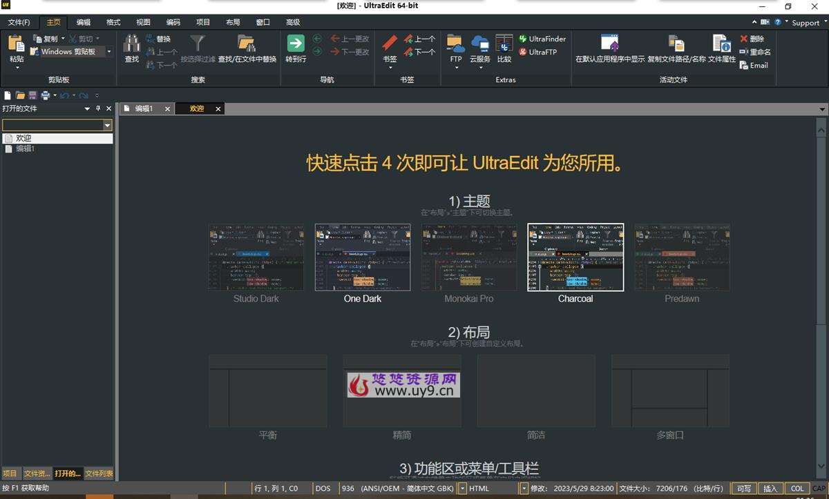 IDM UltraEdit（文本编辑器）v31.3.0.13 免激活中文绿色破解版 第1张