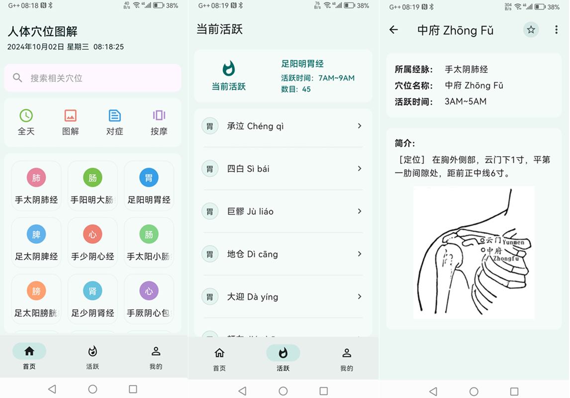 安卓人体穴位图解v3.1.5去广告纯净版 第1张