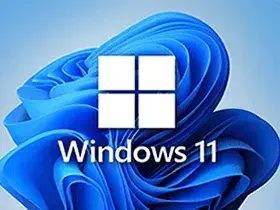 小修Win11 v23H2(22631.5415) 稳定极限版