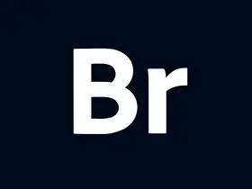 Adobe Bridge 2026(矢量绘图软件) v16.0.0.63.00 破解版