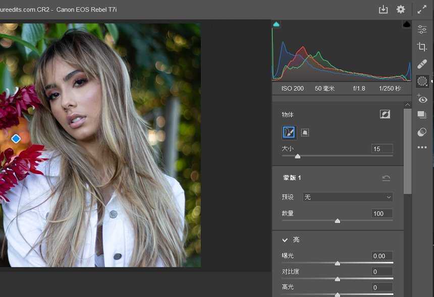 Adobe Camera Raw(优秀RAW处理工具) v18.1.1 最新版 第2张