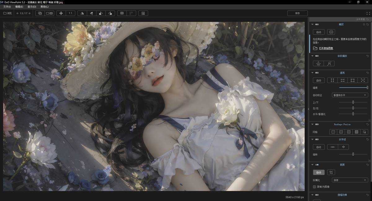 DxO ViewPoint(照片修复校正工具) v5.14 Build 24 中文绿色便携版 第1张 DxO ViewPoint(照片修复校正工具) v5.14 Build 24 中文绿色便携版 第1张
