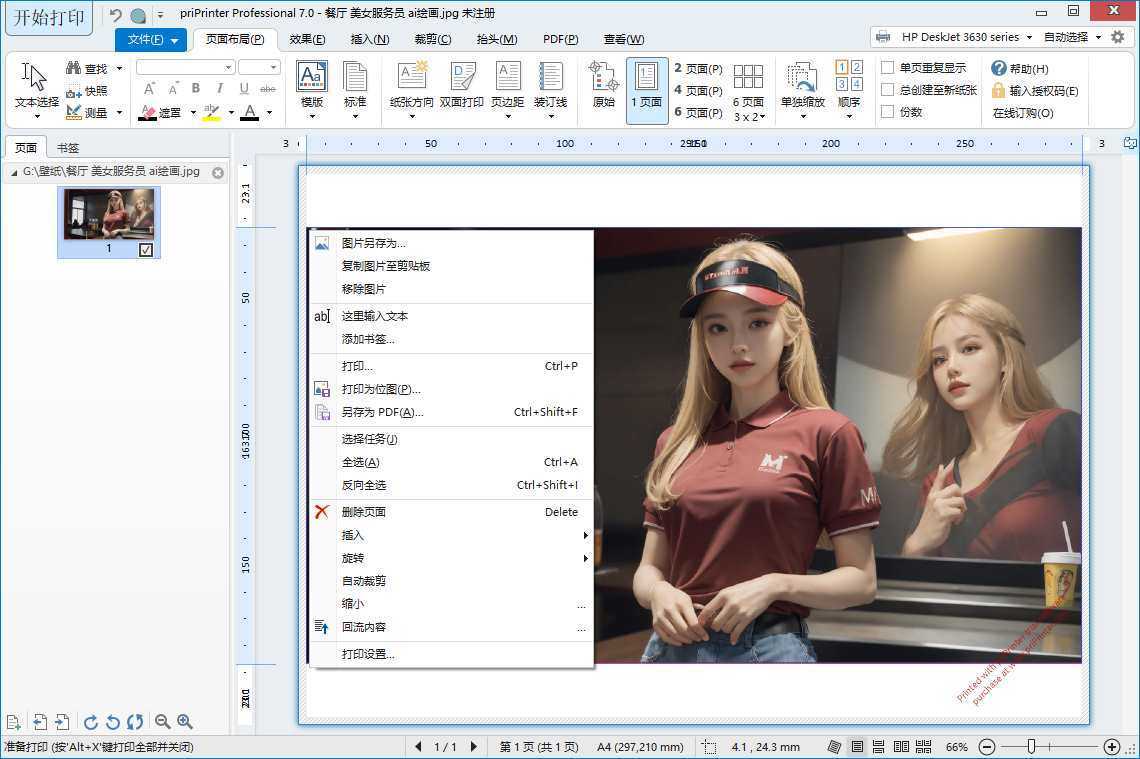 priPrinter Professional(虚拟打印机) v7.0.1.2628 中文直装版 第1张
