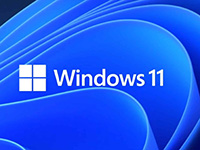Windows 11 23H2 Build 22631.7376 RTM(集成累积更新)