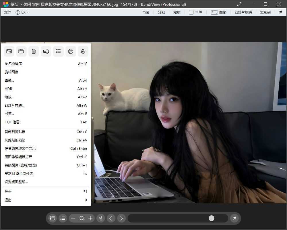 BandiView(图像查看转换器) v8.0 中文绿色版 第1张 BandiView(图像查看转换器) v8.0 中文绿色版 第1张